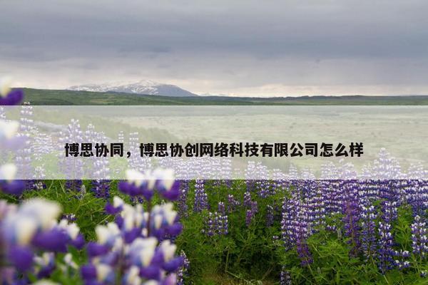 博思协同，博思协创网络科技有限公司怎么样