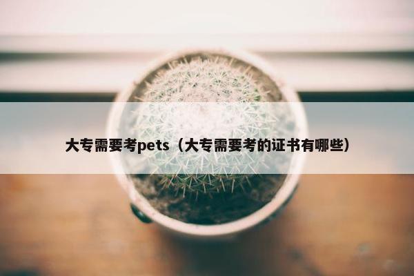 大专需要考pets（大专需要考的证书有哪些）