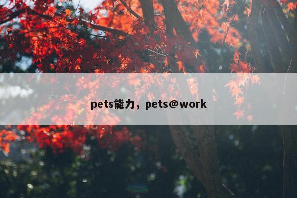 pets能力，pets@work
