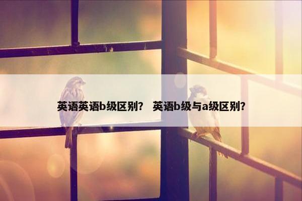 英语英语b级区别？ 英语b级与a级区别？
