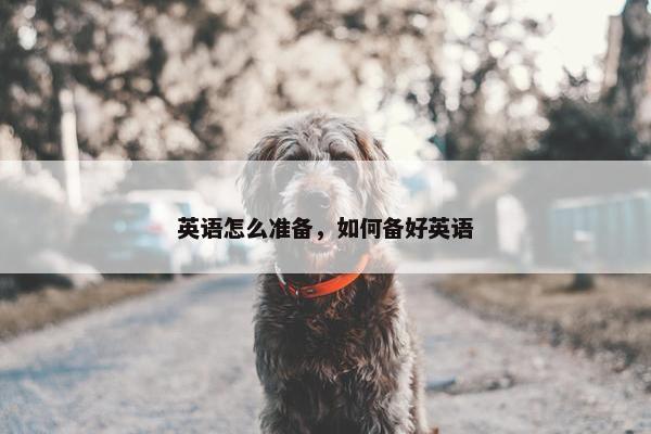 英语怎么准备，如何备好英语