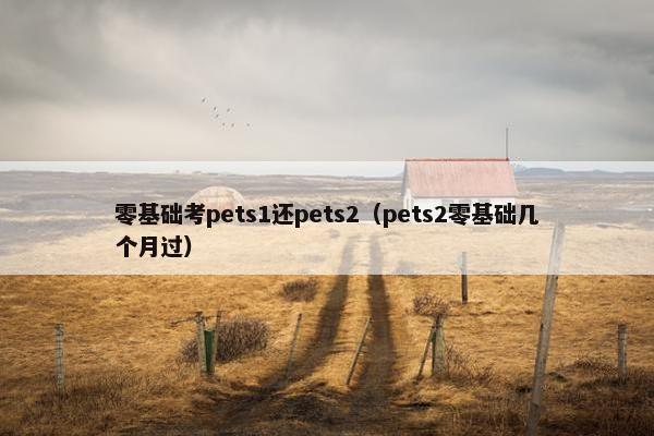 零基础考pets1还pets2（pets2零基础几个月过）