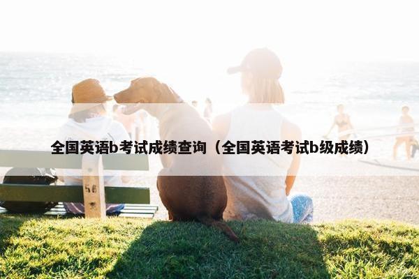 全国英语b考试成绩查询（全国英语考试b级成绩）
