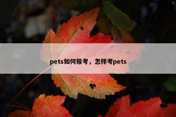 pets如何报考，怎样考pets