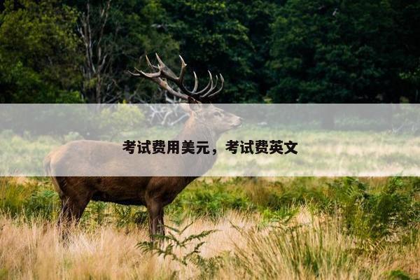考试费用美元，考试费英文