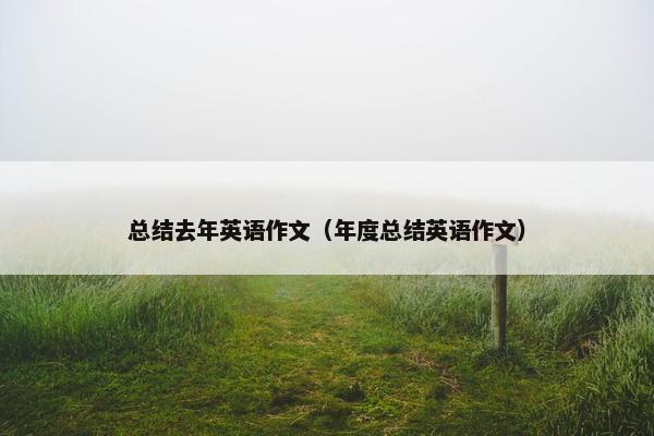 总结去年英语作文（年度总结英语作文）