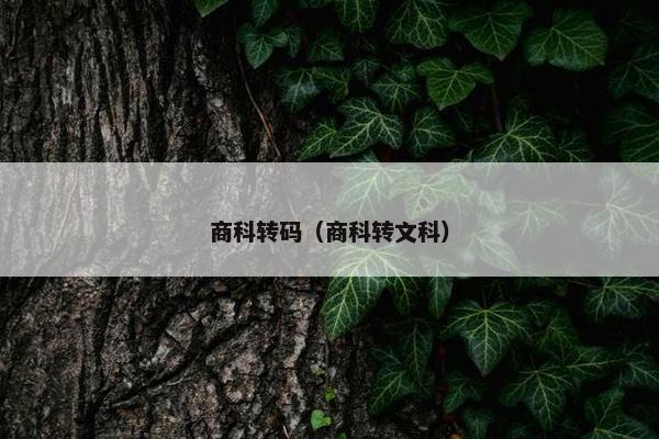商科转码（商科转文科）