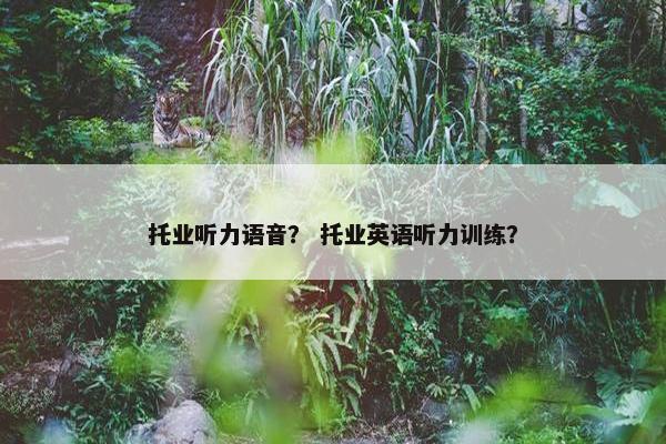 托业听力语音？ 托业英语听力训练？