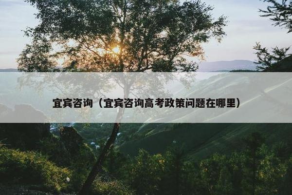 宜宾咨询（宜宾咨询高考政策问题在哪里）