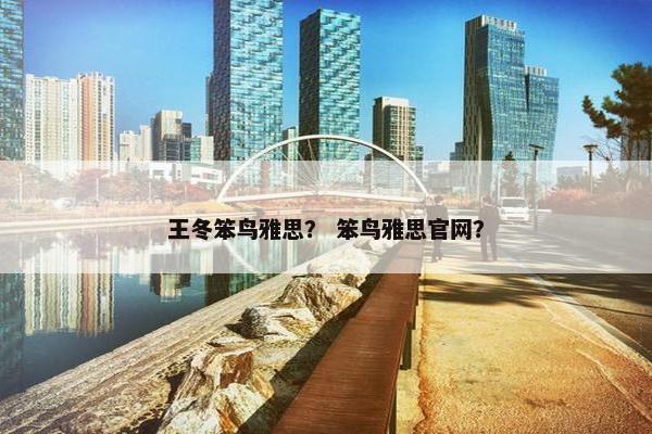 王冬笨鸟雅思？ 笨鸟雅思官网？