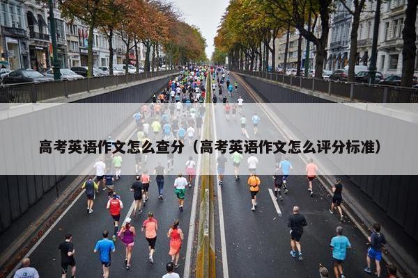 高考英语作文怎么查分（高考英语作文怎么评分标准）
