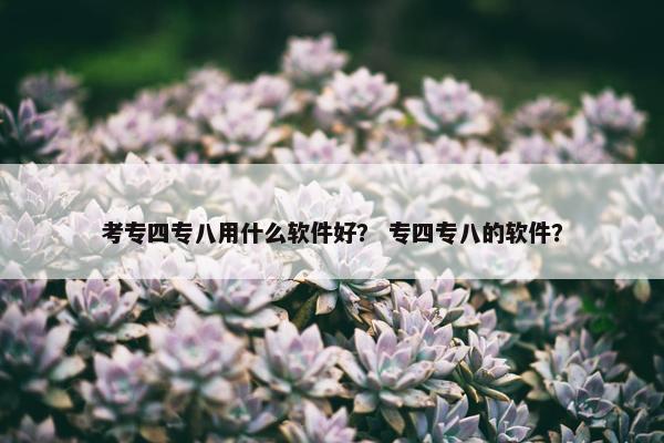 考专四专八用什么软件好？ 专四专八的软件？