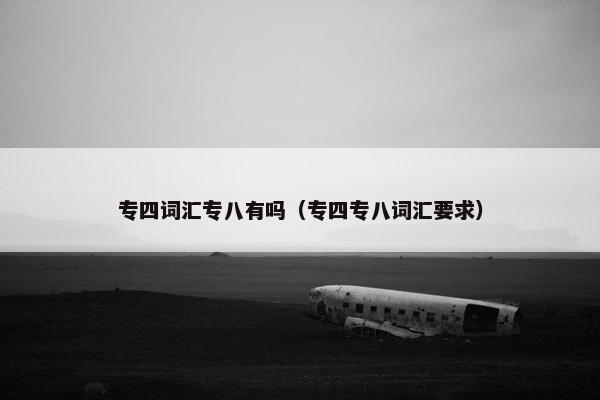 专四词汇专八有吗（专四专八词汇要求）