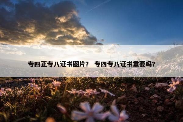 专四正专八证书图片？ 专四专八证书重要吗？