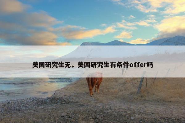 美国研究生无，美国研究生有条件offer吗