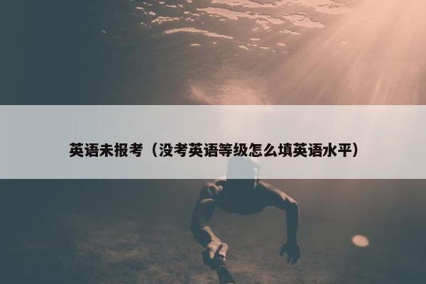 英语未报考（没考英语等级怎么填英语水平）