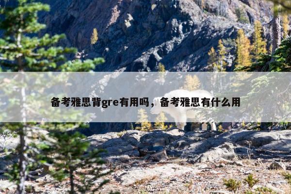 备考雅思背gre有用吗，备考雅思有什么用