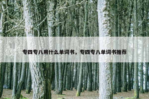 专四专八用什么单词书，专四专八单词书推荐