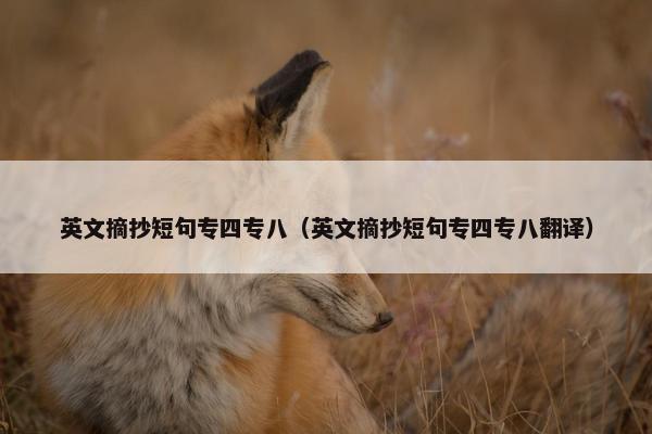 英文摘抄短句专四专八（英文摘抄短句专四专八翻译）