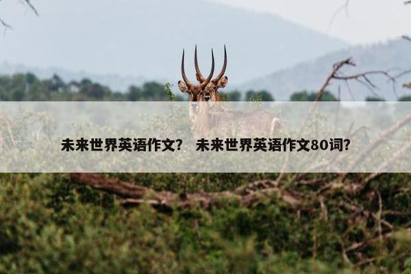 未来世界英语作文？ 未来世界英语作文80词？
