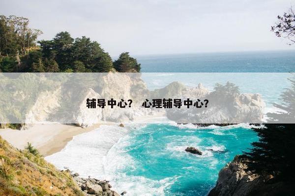 辅导中心？ 心理辅导中心？