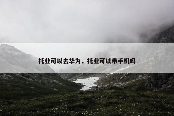 托业可以去华为，托业可以带手机吗