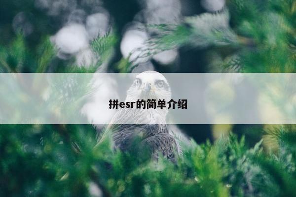 拼esr的简单介绍