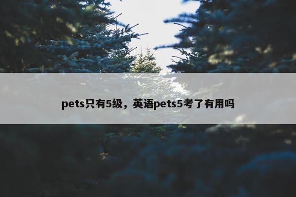 pets只有5级，英语pets5考了有用吗