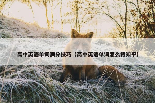高中英语单词满分技巧（高中英语单词怎么背知乎）