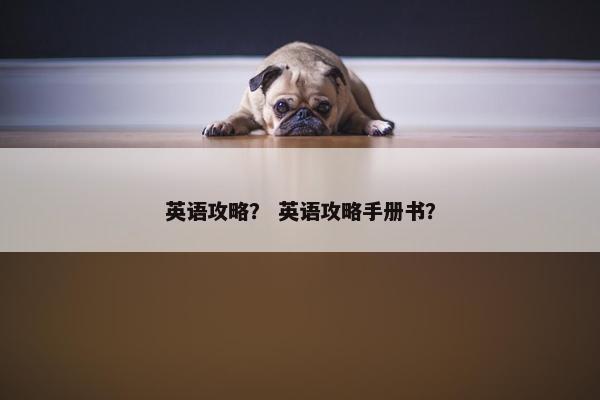 英语攻略？ 英语攻略手册书？