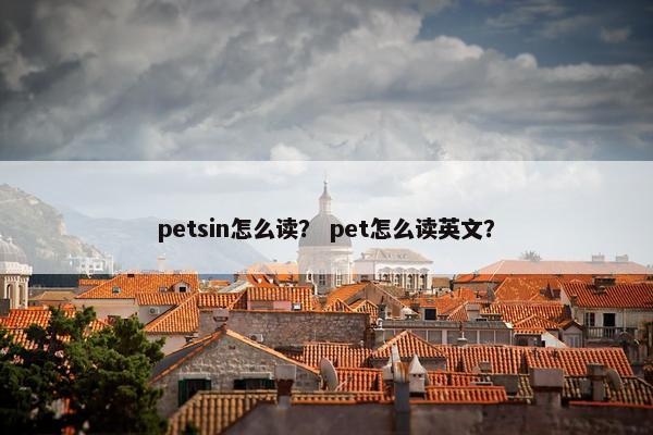 petsin怎么读？ pet怎么读英文？