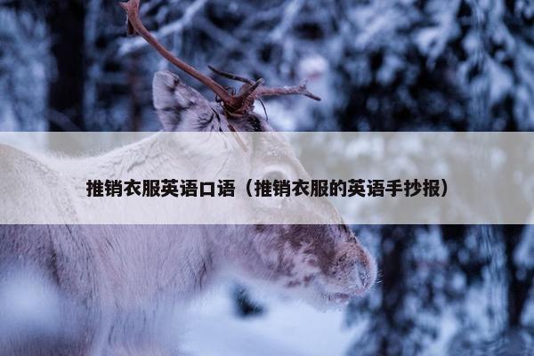 推销衣服英语口语（推销衣服的英语手抄报）