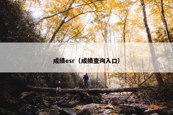 成绩esr（成绩查询入口）
