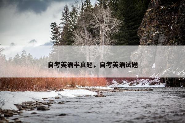 自考英语半真题，自考英语试题