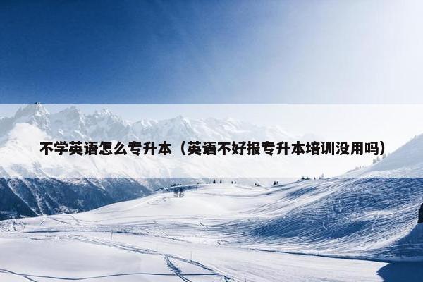 不学英语怎么专升本（英语不好报专升本培训没用吗）