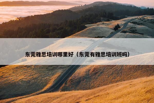 东莞雅思培训哪里好（东莞有雅思培训班吗）