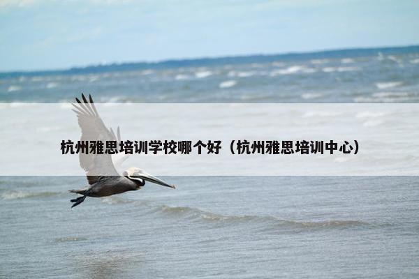 杭州雅思培训学校哪个好（杭州雅思培训中心）