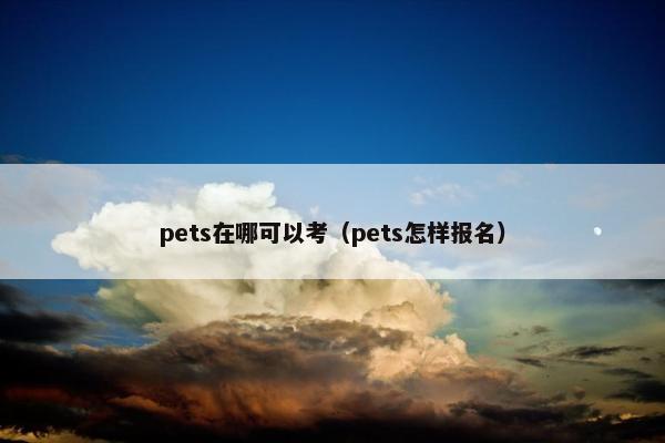 pets在哪可以考（pets怎样报名）