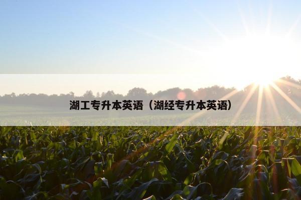湖工专升本英语（湖经专升本英语）