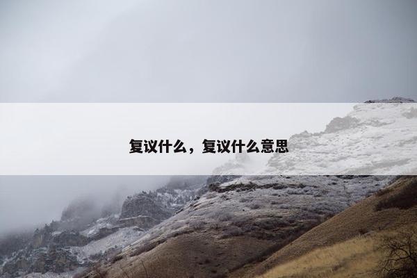 复议什么，复议什么意思