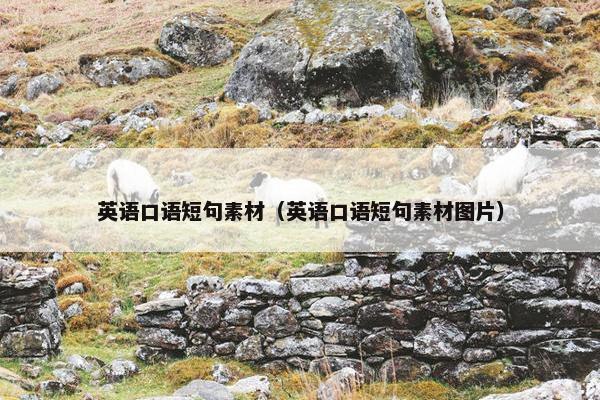 英语口语短句素材（英语口语短句素材图片）