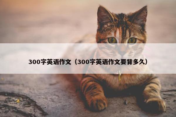 300字英语作文（300字英语作文要背多久）