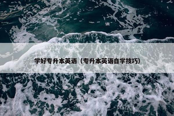学好专升本英语（专升本英语自学技巧）
