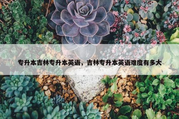 专升本吉林专升本英语，吉林专升本英语难度有多大