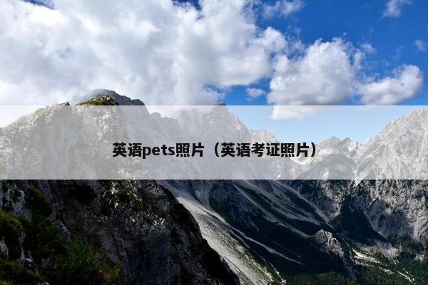 英语pets照片（英语考证照片）