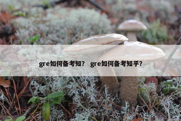 gre如何备考知？ gre如何备考知乎？