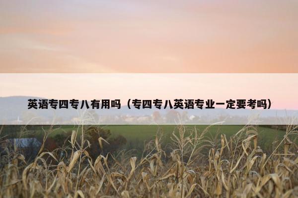 英语专四专八有用吗（专四专八英语专业一定要考吗）