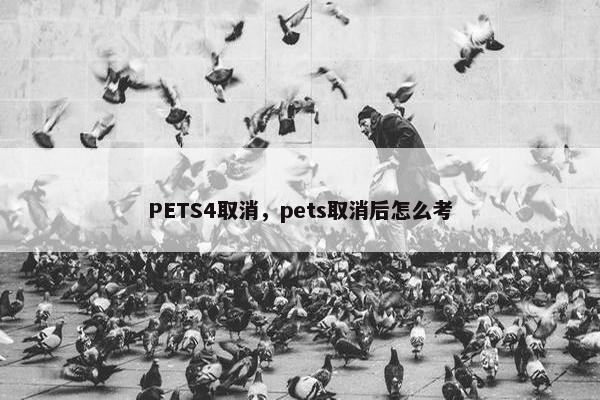 PETS4取消，pets取消后怎么考