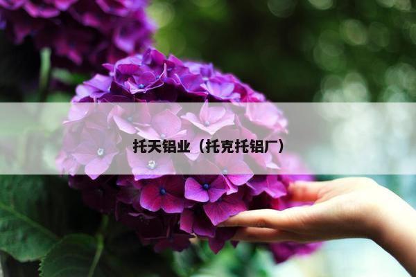 托天铝业（托克托铝厂）
