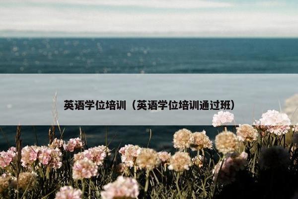 英语学位培训（英语学位培训通过班）